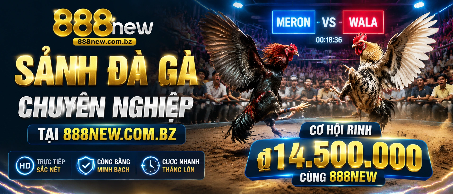 Cửa cược đá gà